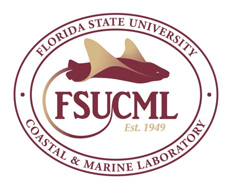 xnokxx|crc.magnet.fsu.edu.